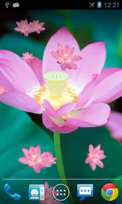 Lotus APK (Android App) .
